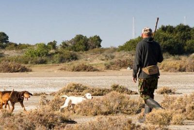 Artemis Cy - На Кипре стартует новый охотничий сезон - cyprusbutterfly.com.cy - Кипр - Никосия