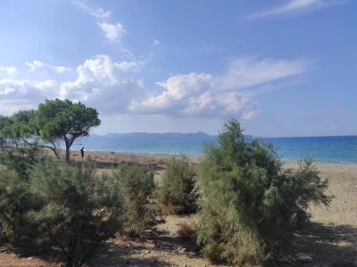 На Кипре установится тёплая и в основном ясная погода, возможны дожди во вторник - kiprinform.com - Кипр - Никосия