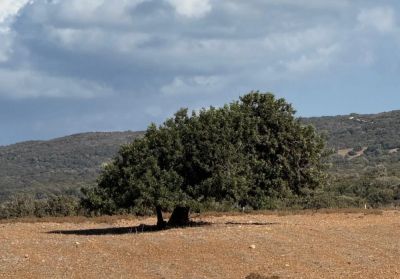 На Кипре сохраняется тёплая погода, но к середине недели ожидаются дожди - kiprinform.com - Кипр - Никосия