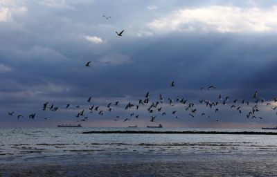 Метеослужба Кипра объявила жёлтое предупреждение: ожидаются дожди и град - kiprinform.com - Кипр - Никосия