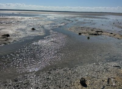 Экологи бьют тревогу: водно-болотные угодья Акротири на грани экологического кризиса - kiprinform.com - Кипр