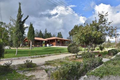 Стефану Стефанос - Никоса Христодулидиса - Передача тушения лесных пожаров МВД была ошибкой, заявил лидер Akel - kiprinform.com - Кипр - Никосия - Президент