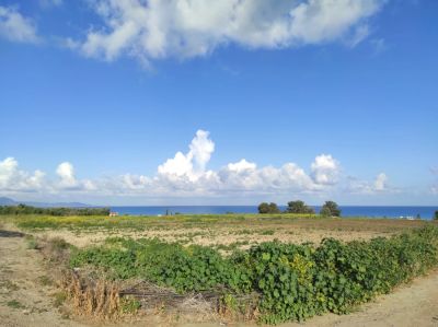 Прогноз погоды на неделю: тепло и преимущественно ясно - kiprinform.com - Кипр - Никосия