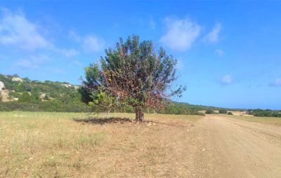 Прогноз погоды на четверг и выходные - kiprinform.com - Кипр