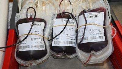 Продромос Аламбритис - Павлос Милонас - Михалис Якуми - Кипр лидирует в мире по количеству доноров крови: парламент обсуждает дополнительные льготы для доноров - kiprinform.com - Кипр - Никосия