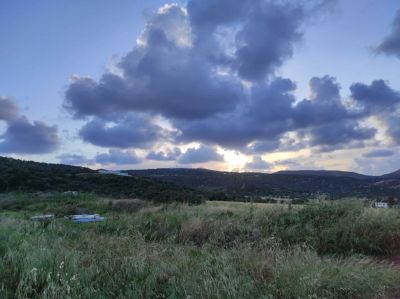 Прогноз погоды на Кипре: дожди, пыль и туман к концу недели - kiprinform.com - Кипр