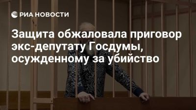 Михаил Глущенко - Галина Старовойтова - Вячеслав Шевченко - Юрий Зорин - Защита обжаловала приговор экс-депутату Глущенко, осужденному за убийство - ria.ru - Кипр - Россия - Москва - Санкт-Петербург - Приморье край