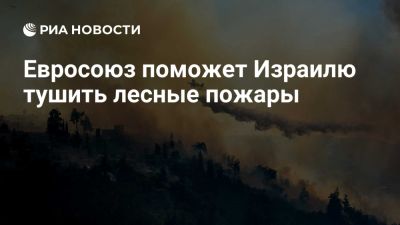 Глава ЕК фон дер Ляйен: Евросоюз поможет Израилю в тушении лесных пожаров - ria.ru - Кипр - Израиль - Евросоюз - деревня Ляйен - Иерусалим - Италия - Греция - Хорватия - Брюссель