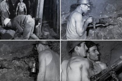«История меди на Кипре» - новый фильм про добычу ценного кипрского металла - cyprusbutterfly.com.cy - Кипр - Египет