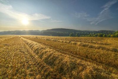 Температура приближается к 40°C, повышается уровень пыли - kiprinform.com