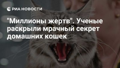 Ученые из Италии и Британии связали происхождение домашней кошки с мумиями - ria.ru - Кипр - Россия - Москва - Сша - Египет - Англия - Китай - Италия - Япония