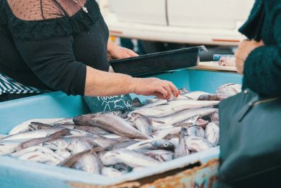 Като Пиргос приглашает на 1-й рыбный фестиваль: Бесплатные угощения и живая музыка - kiprinform.com - Кипр - Евросоюз - деревня Като