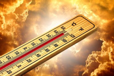 Новое жёлтое предупреждение на Кипре: жара до +40°C и высокая влажность - cyprusbutterfly.com.cy - Кипр