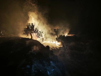 Никос Лонгинос - Пожар в Лимассоле, унесший жизни двух человек, был вызван поджогом - kiprinform.com - Кипр