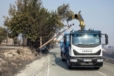 Кристина Пападопулу - Пострадавшие от пожара деревни Лимассола вновь подключены к электросети, идёт восстановление - kiprinform.com - Кипр - Ипсонас
