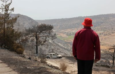 Антония Теодосиу - Животные, пострадавшие от пожаров в Лимассоле, остро нуждаются в помощи - kiprinform.com - Кипр - Никосия