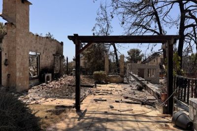 Сотрудники Cyprus Butterfly побывали на месте пожара в Суни - cyprusbutterfly.com.cy - Кипр - деревня Суни