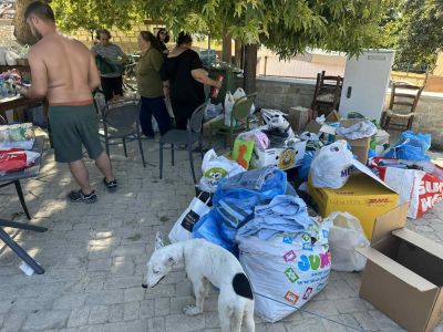 Марилена Эвангелу - Помощь пострадавшим от пожара в Лимассоле: Достаточно материальных пожертвований, излишки пойдут на другие нужды - kiprinform.com - Кипр - Никосия