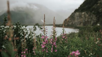 Смирение: разумное самоуничижение - cyplive.com