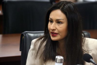 Андреас Грегориу - Мария Панайоту - Парламент Кипра: Роль координатора по пожарам остаётся неясной после критики депутатов - kiprinform.com - Кипр - Никосия