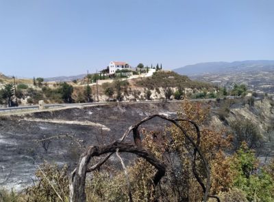 Винодельня Monolithos в Лимассоле вновь подключена к электросети спустя 14 дней после пожара - kiprinform.com - Кипр