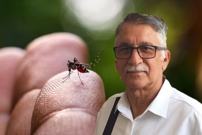 Петрос Караяннис - Кипру пока не угрожает вирус чикунгунья - cyprusbutterfly.com.cy - Кипр - Китай - Танзания