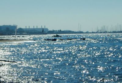 Власти Кипра ввели запрет на купание в море возле пляжа Айя Варвара в Лимассоле - evropakipr.com - Кипр