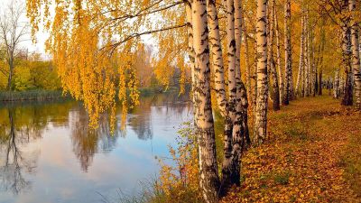 Осень - cyplive.com