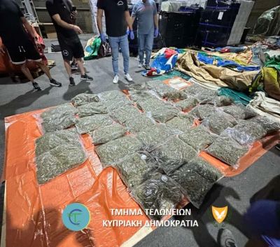 На Кипре арестованы четверо за контрабанду наркотиков в надувных игрушках - kiprinform.com - Кипр - Никосия - Греция