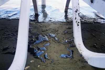 Неофитос Факонтис - На пляже Ороклини в Ларнаке разлили нефть - cyprusbutterfly.com.cy - Ороклини